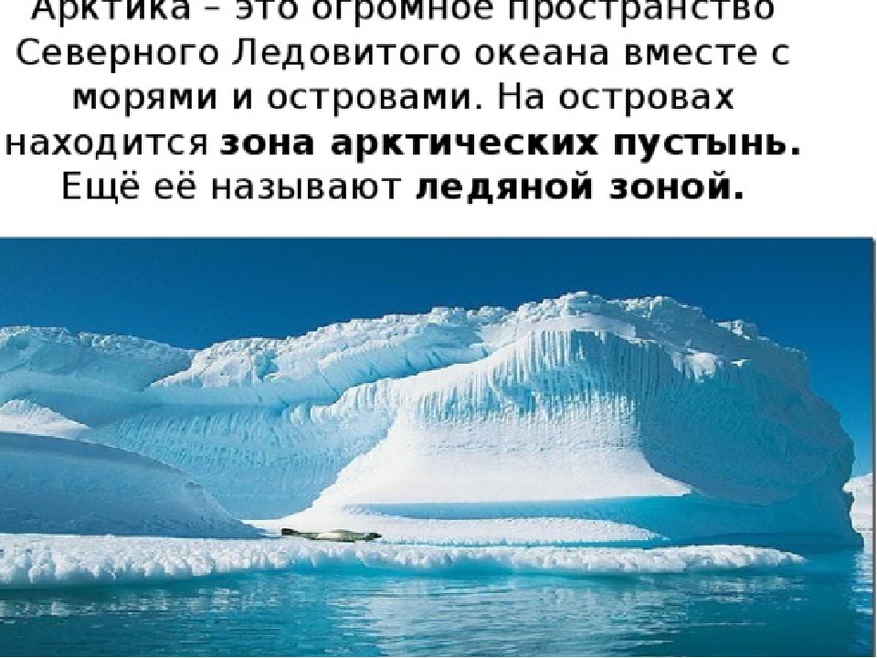 Проблемы северного ледовитого океана. Арктика это огромное пространство. Арктика это огромное пространство Северного Ледовитого. Зоны Северного Ледовитого океана. Пространство Северного Ледовитого океана вместе с морями и островами.