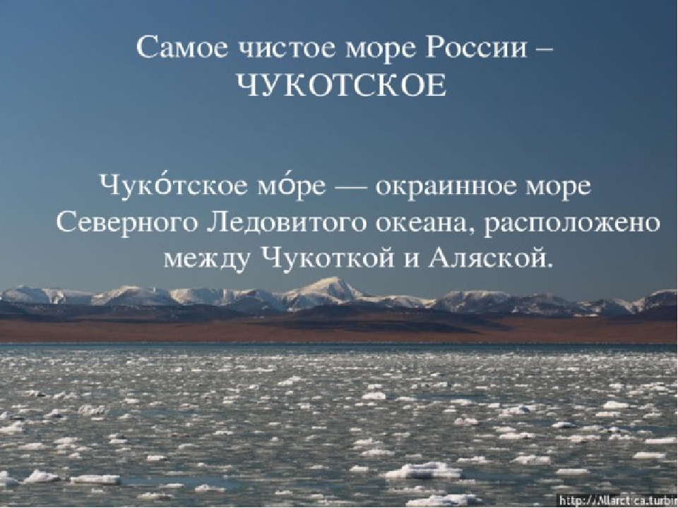 Северное море текст. Чукотское море. Чукотское море интересные факты. Моря России Чукотское море. Чукотское море Северный Ледовитый океан.