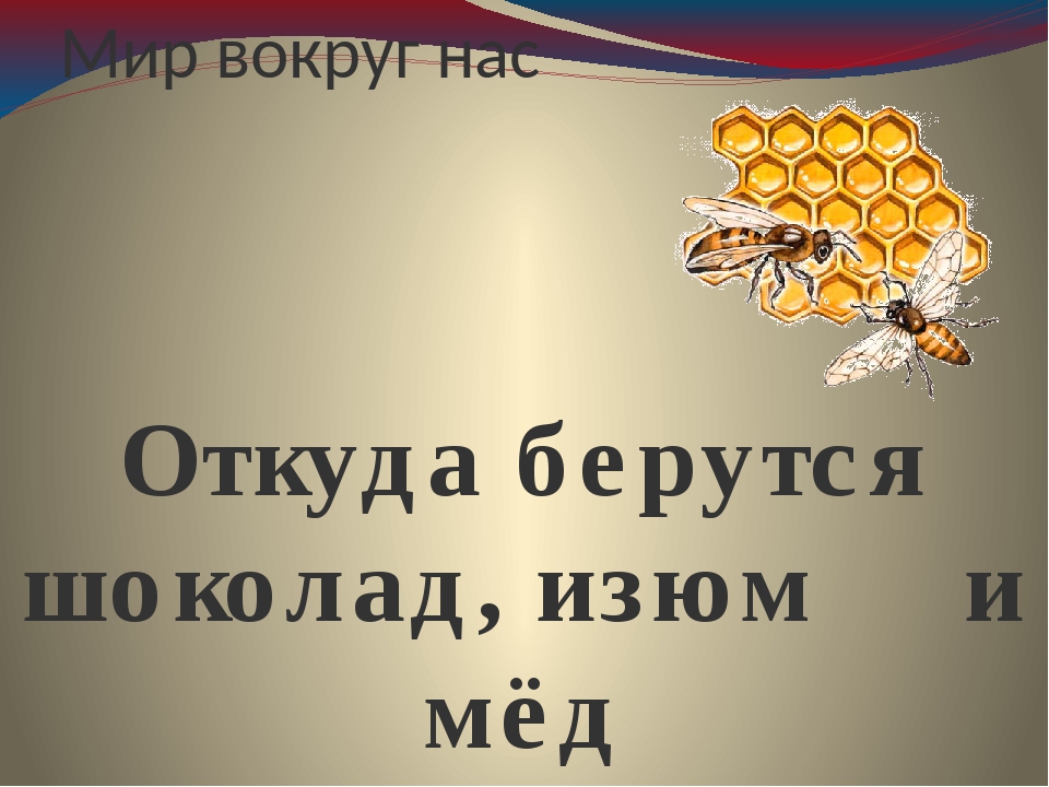 Откуда берутся шоколад изюм и мед 1 класс школа россии презентация