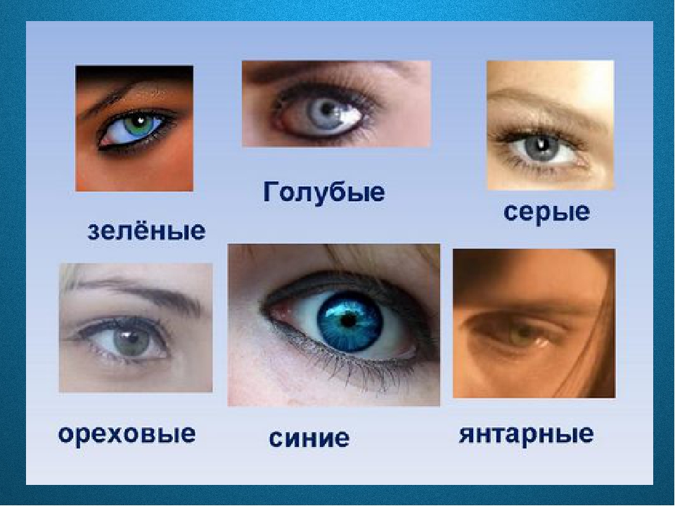 Глаза сравнение. Голубые и серые глаза сравнение. Зеленые и голубые глаза сравнение. Янтарный, голубой, зеленый и серый глаз. Ореховые и зеленые глаза сравнение.
