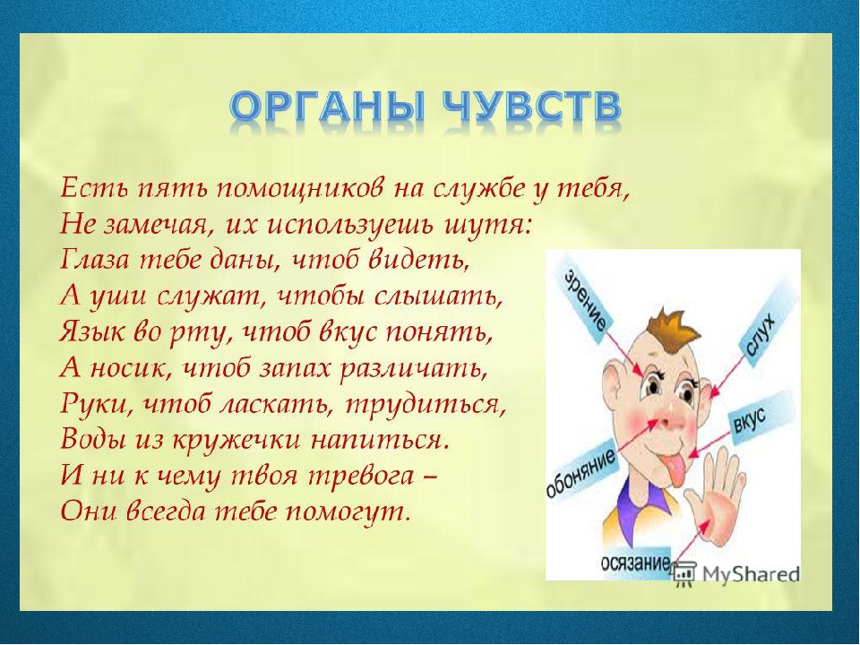 Органы чувств 3 класс презентация школа россии