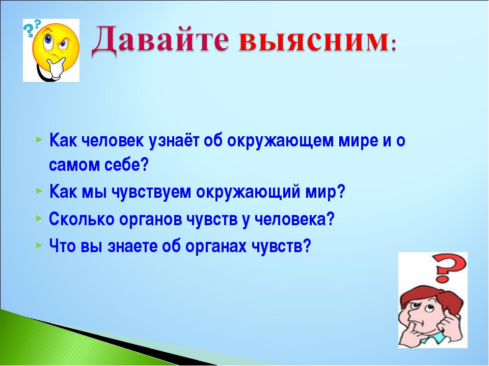 Органы чувств 3 класс презентация школа россии