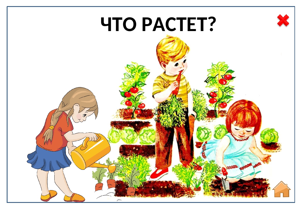 Интерактивная дидактическая игра «Огород»
