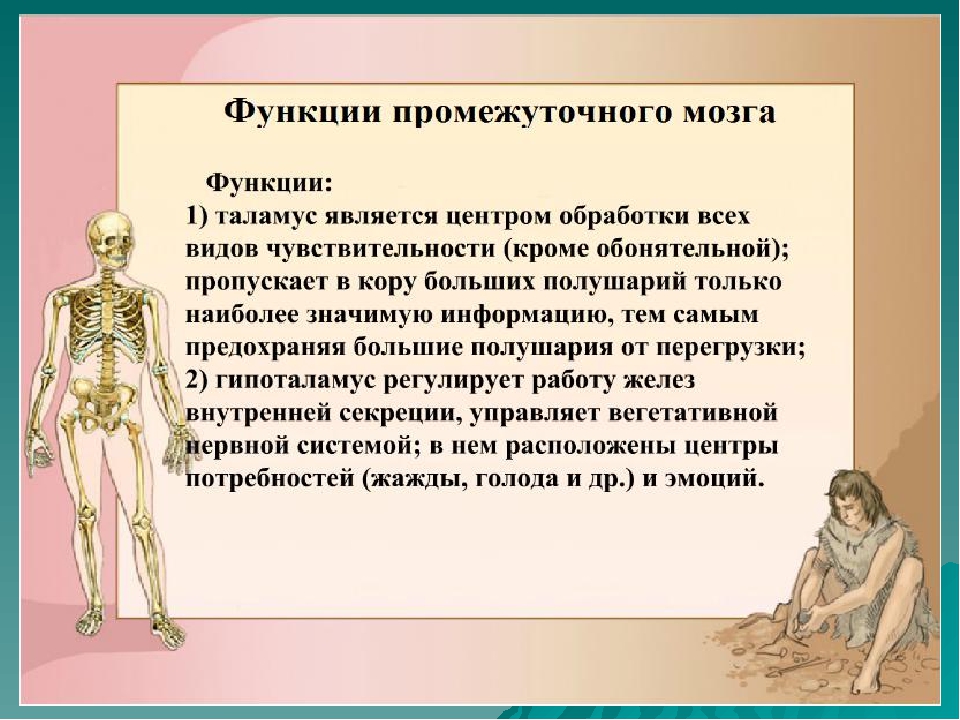 Влияние стрессов на здоровье человека проект по биологии 11 класс