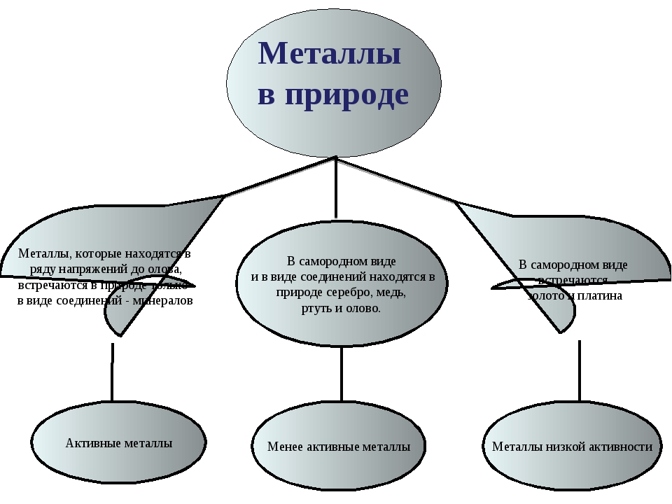 Металлы в жизни человека проект