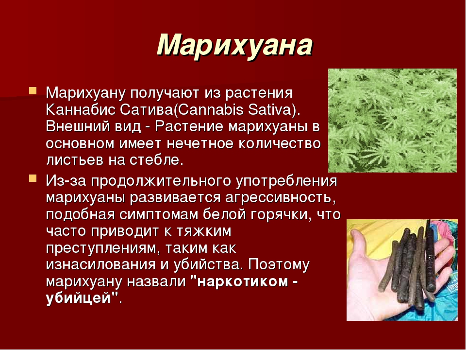 белая горячка марихуана