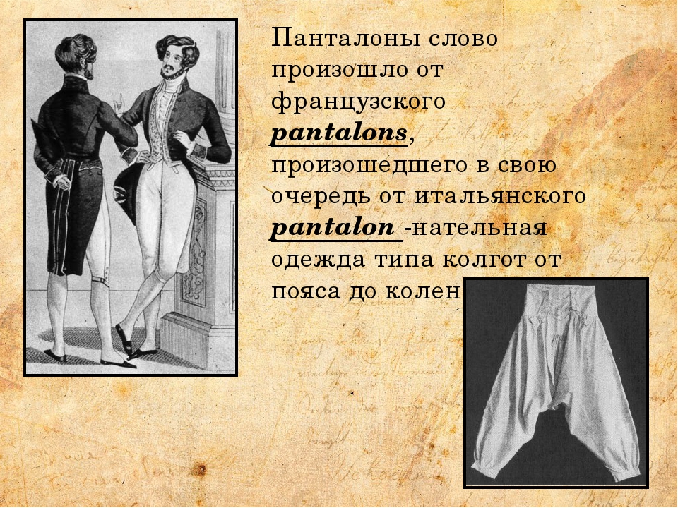 Что обозначает слово аристократия. Панталоны история. Панталоны 19 века. Панталоны мужские исторические. Панталоны мужские штаны.