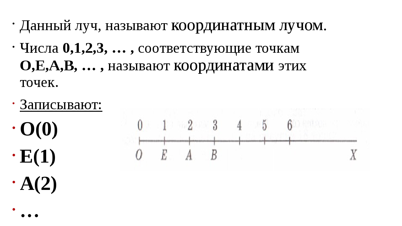 Деление координатного луча