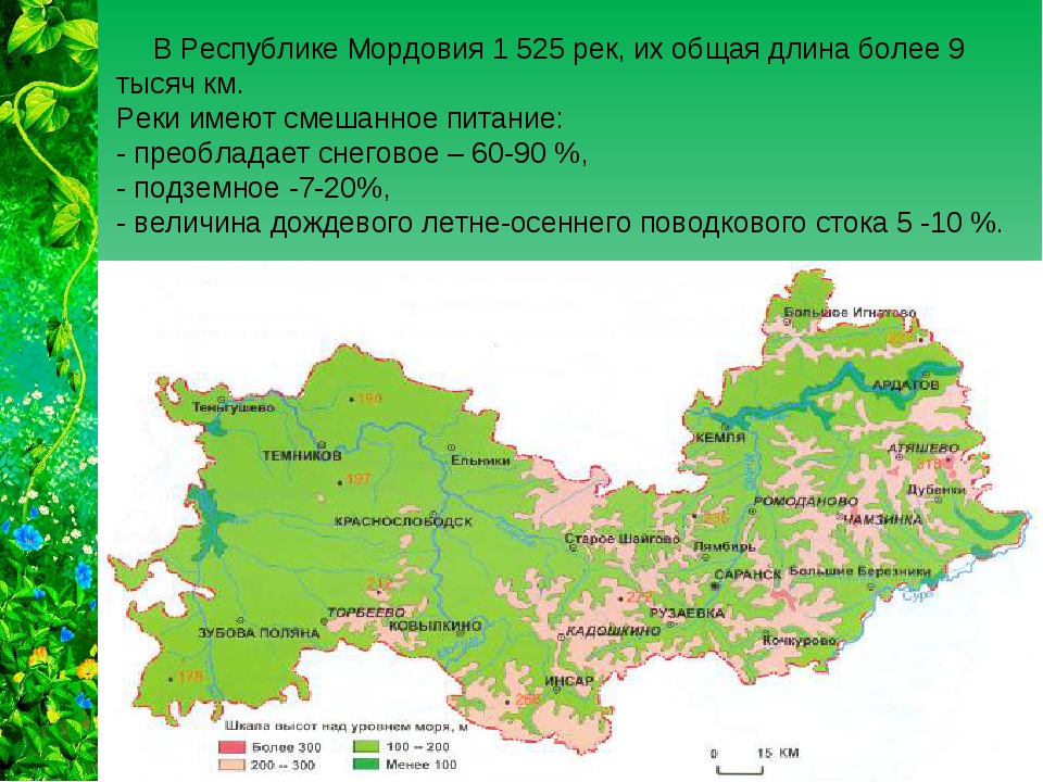 Дорожная карта мордовии