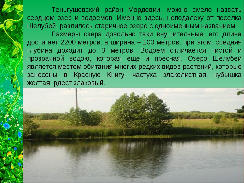 Водные объекты мордовии. Реки Мордовии презентация. Водные объекты Мордовского края. Природа Мордовского края кратко. Реки Мордовии описание.