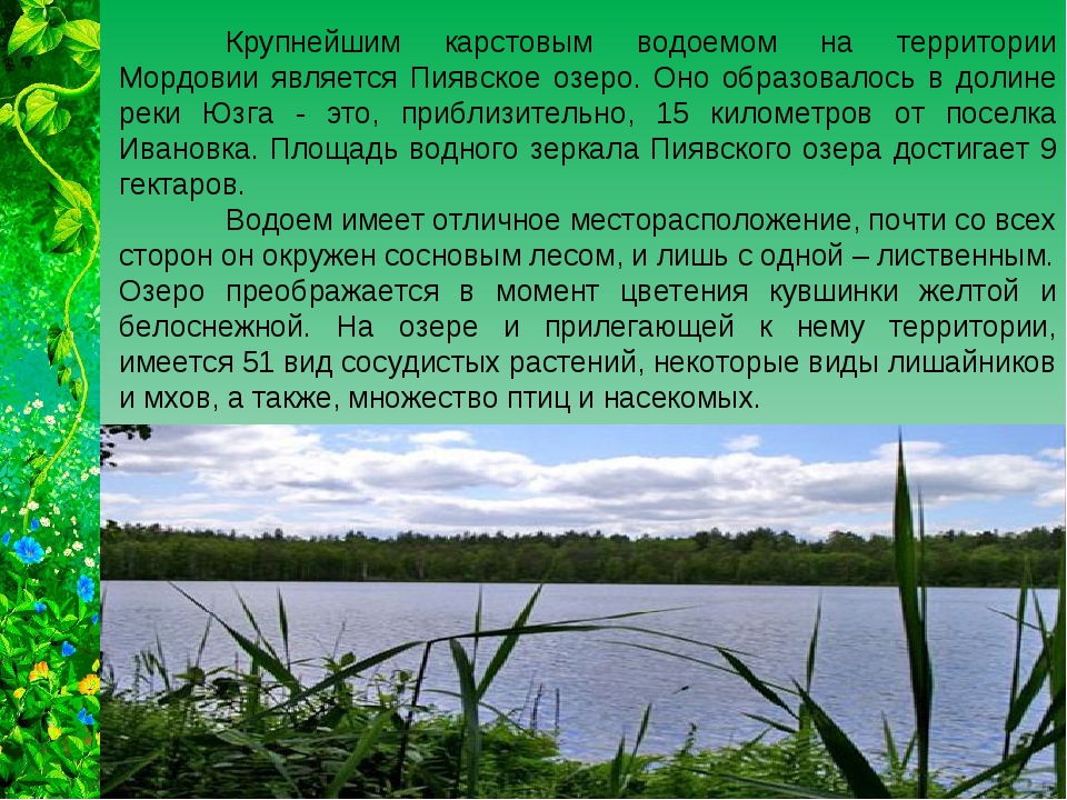 Пиявское озеро Мордовия. Растения водоемов Мордовии. Реки и озера Мордовии презентация. Реки и озера Мордовии.