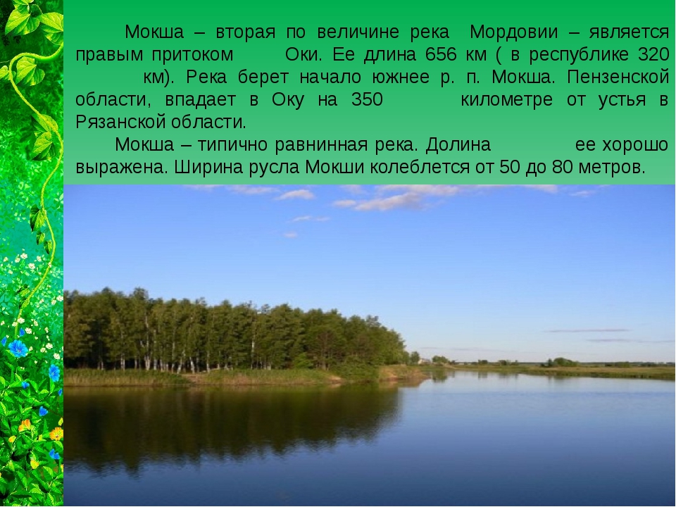 Исток реки Мокша. Исток реки Мокша в Пензенской области. Растения реки Мокша. Реки Мордовии описание.