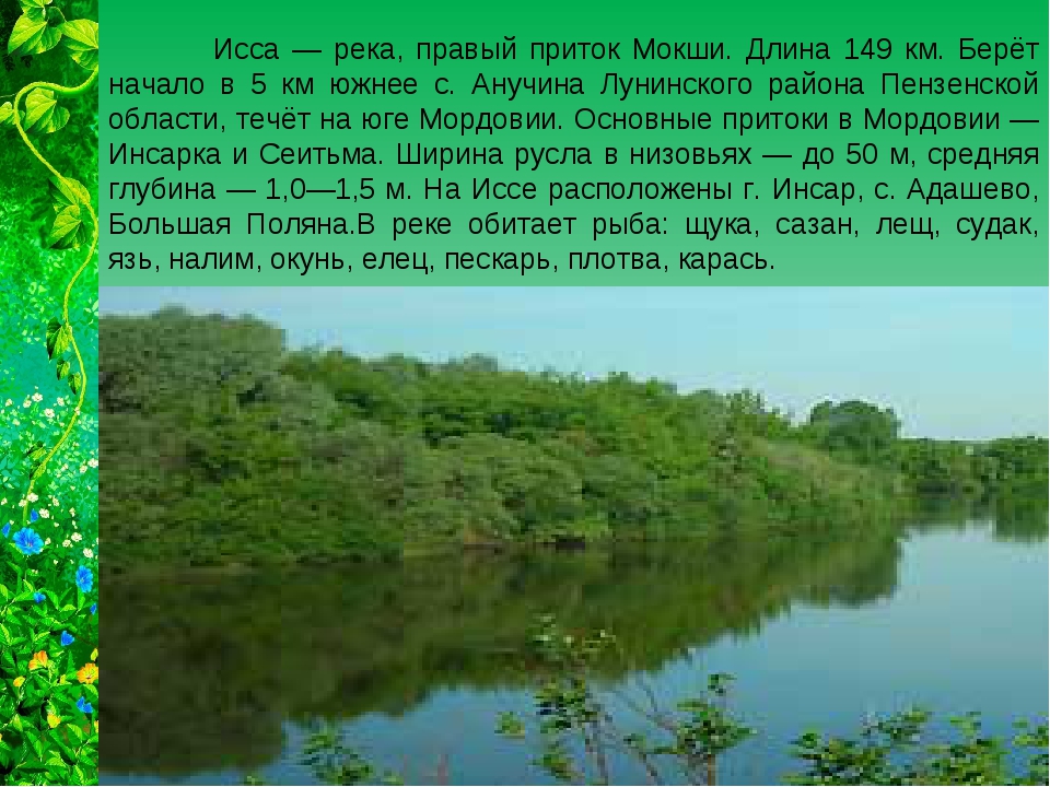 Притоки реки тихая. Река ьисса. Доклад о реке Мокша. Реки и озера Мордовии сообщение.