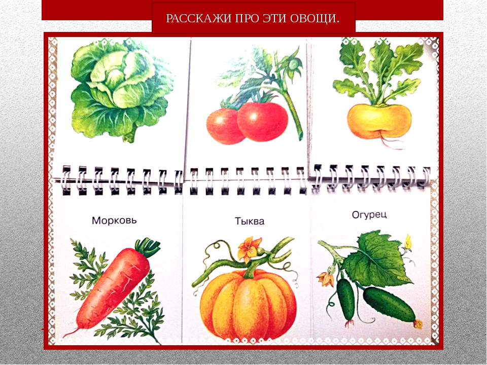 Схема описания овощей для дошкольников