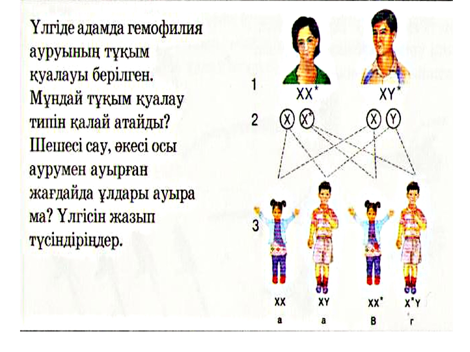 Презентация адам генетикасы