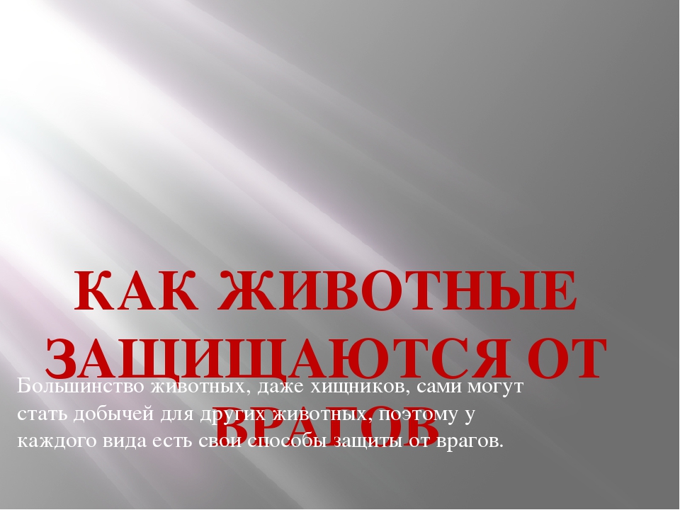 Как животные защищаются от врагов 6 класс проект