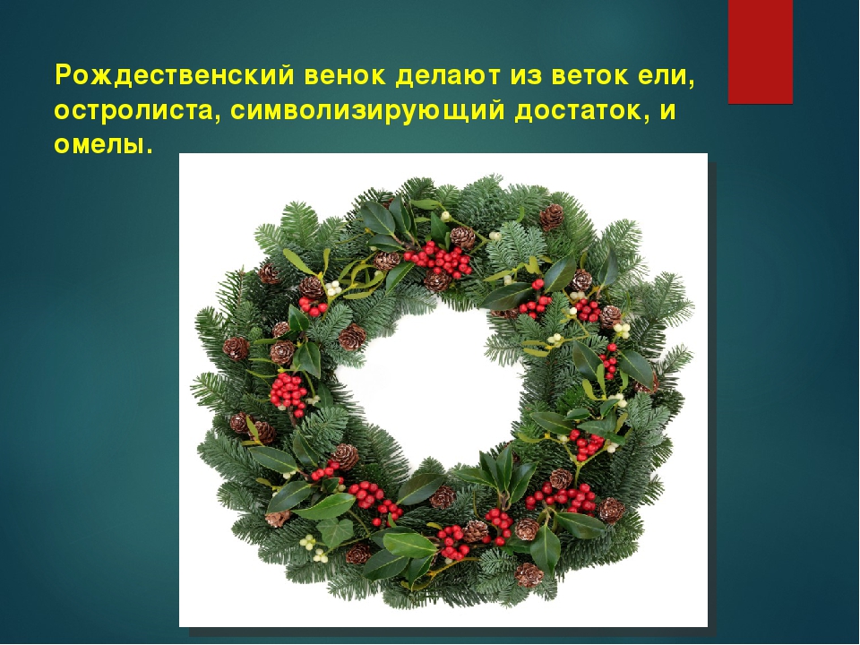 Рождественские символы великобритании. Остролист венок Рождественский. Рождественский венок падуб остролист. Рождественский венок с остролистом и омелой. Рождественские венки остролист омела