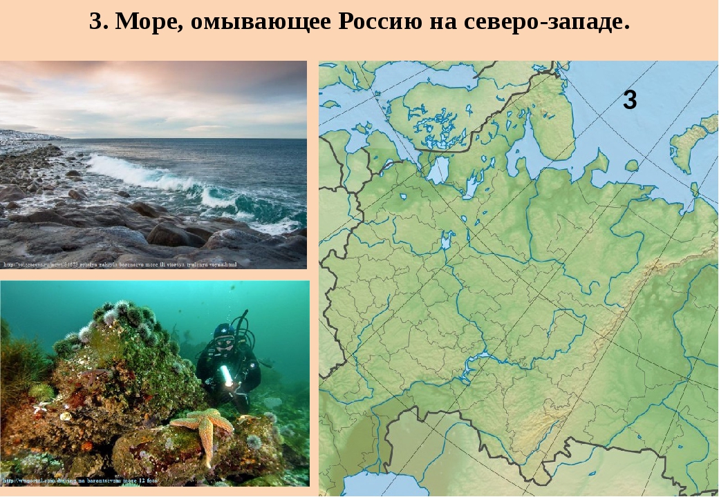 Россия омывается 3 морями