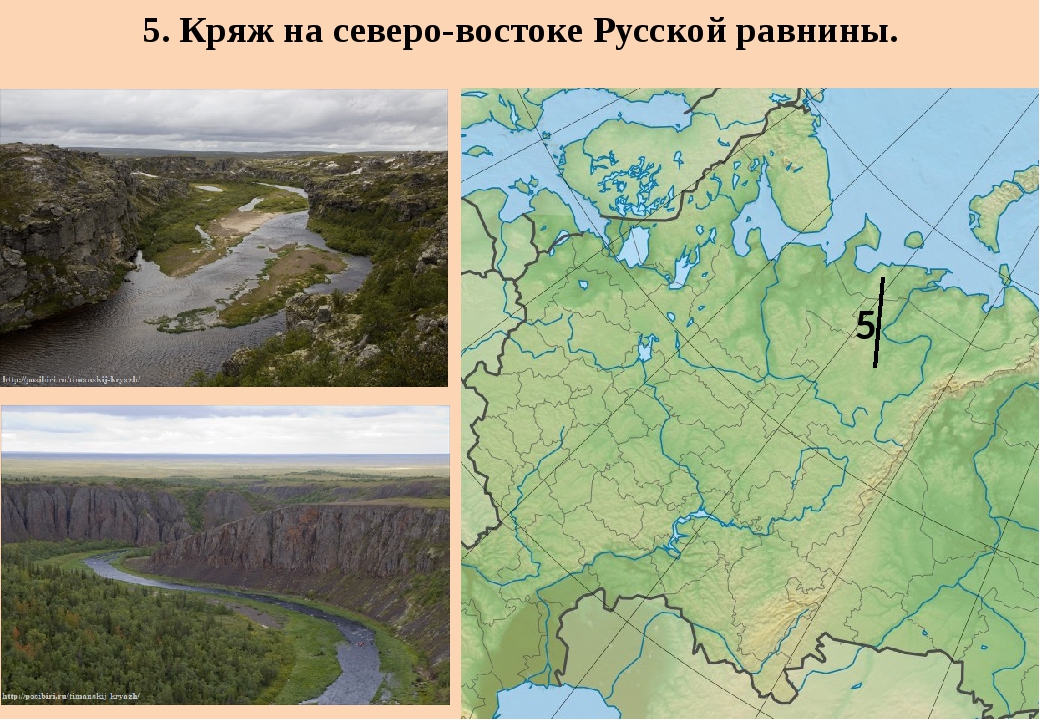 Великие равнины россии 8 класс география. Тиманский Кряж равнина. Северные Увалы Тиманский Кряж. Возвышенность Тиманский Кряж. Восточно-европейская равнина Тиманский Кряж.