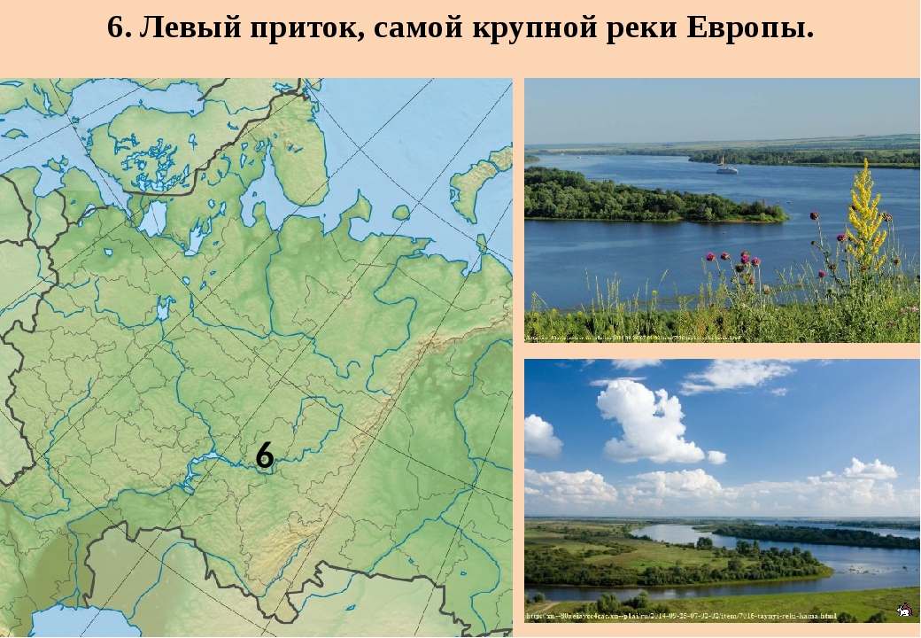 Большинство рек европейской части россии. Восточно-европейская равнина на карте России. Самая крупная река Восточно-европейской равнины это. Крупные реки Восточно европейской равнины. Реки русской равнины.