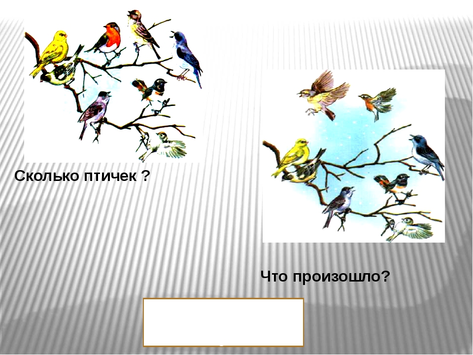 Птицы 2 класс. Сколько птиц. Каково птица. Птичка долго. Сколько всего птиц на каждом рисунке.