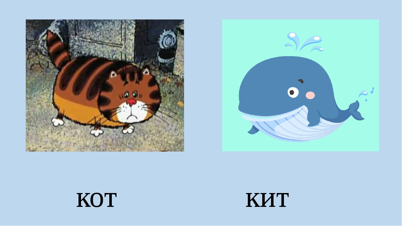 Слово кот. Кит и кот. Кит и кот иллюстрации. Карточки логопедические кот кит кот. Кит это кот а кот это кит.