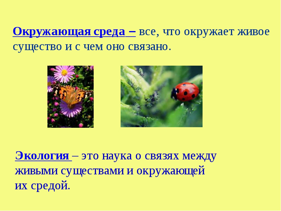 Как называется существо представленное на изображении вспомни как оно связано с верованиями китайцев