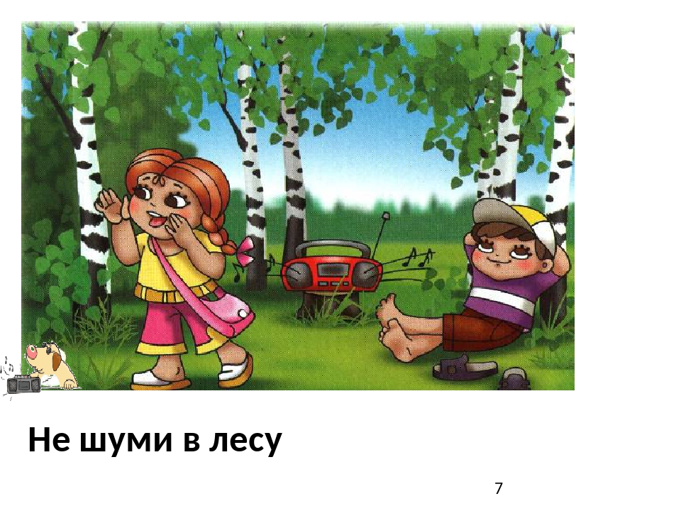 Не шуми. Не шумите в лесу. Поведение на природе для детей. Нельзя шуметь в лесу. Правила поведения в лесу нельзя.