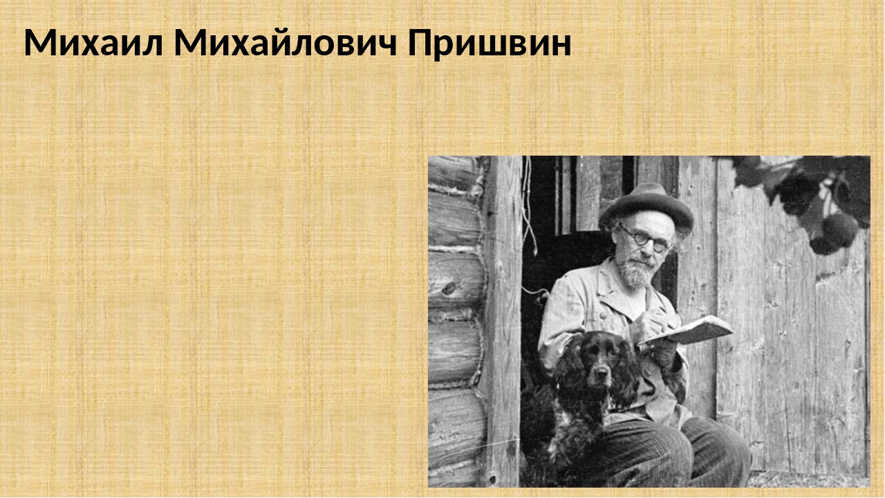 Пришвин презентация 6 класс. Фон для презентации по Пришвину. Расставание и встреча пришвин.