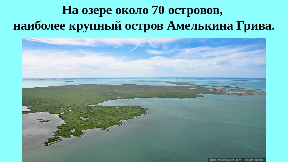 Где находятся чаны. Остров Амелькина грива озеро Чаны. Озеро Чаны Новосибирская область. Соленое озеро Чаны. Острова на озере Чаны Новосибирской области.