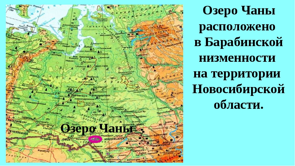 Выберите город расположенный в западной сибири. Озеро Чаны на карте России в атласе. Озеро Чаны Западная Сибирь равнина. Барабинская низменность Новосибирская область. Карта России озеро Чаны на карте.