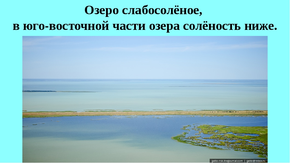 Части озера. Соленость озера Чаны. Проект озеро Чаны презентация. По солености озеро Чаны. Озеро Убинское соленость.