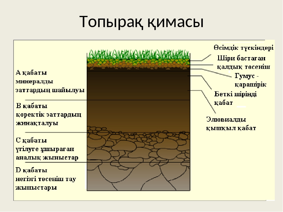 Топырақты бонитеттеу презентация