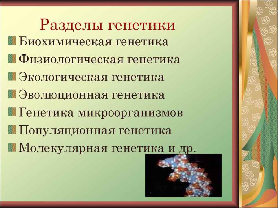 Темы для проекта по биологии. Разделы генетики. Разделы современной генетики. Генетика разделы генетики. Разделы генетики человека.