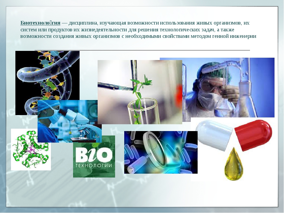 Биотехнология презентация. Презентация на тему биотехнология. Биотехнология это в биологии. Биотехнология слайд. Биоинженерия презентация.