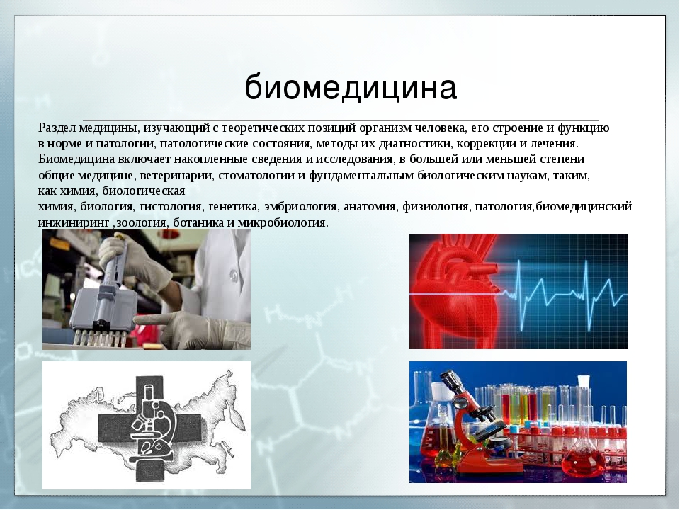 Биотехнология презентация 11 класс