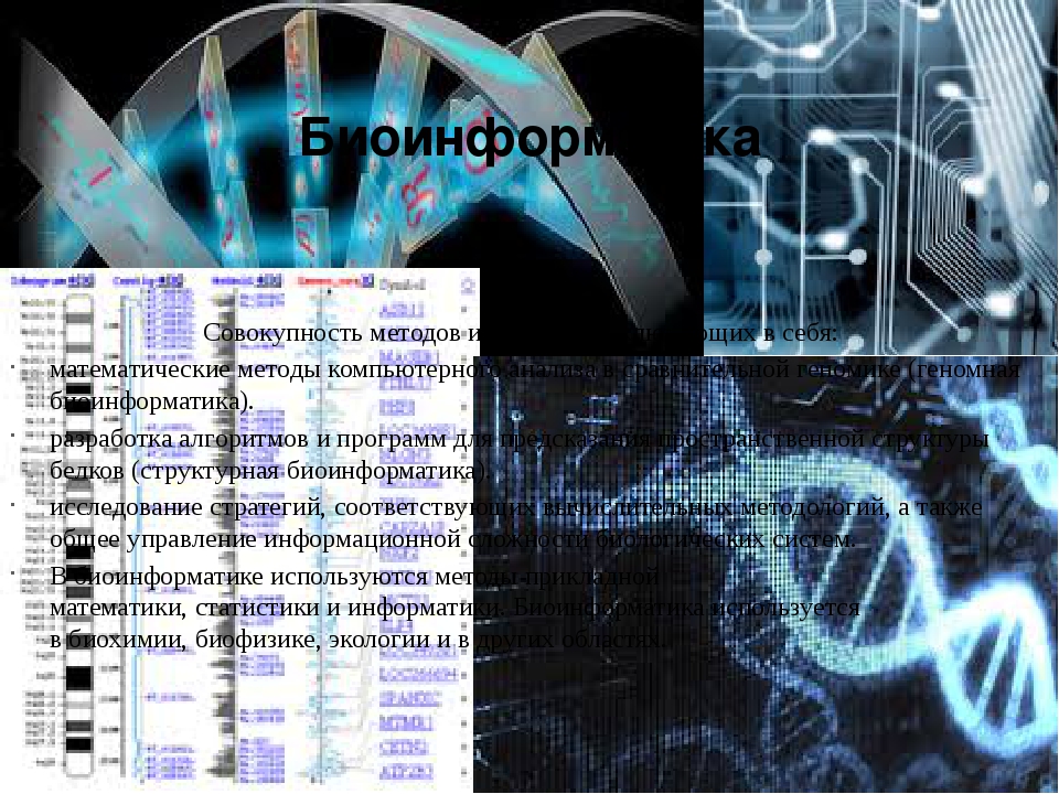 Специальная область информатики изучающая методы и способы создания и обработки изображений