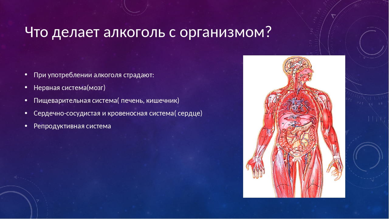 Организм человека что делает. Что делает алкоголь с организмом. Для чего сделали алкоголь.