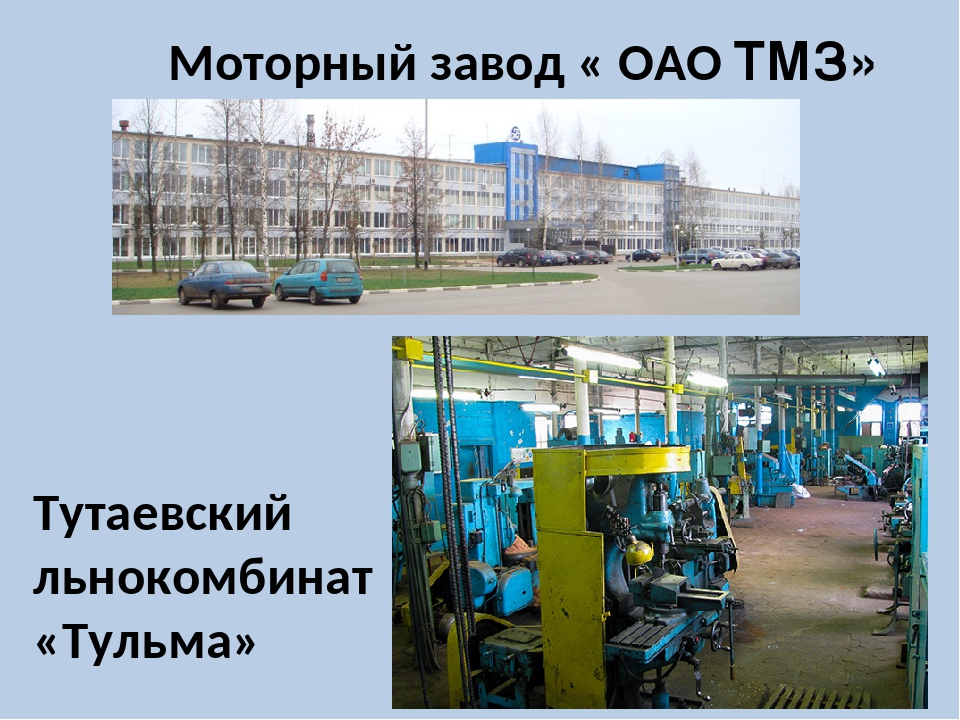 Тутаевский моторный завод официальный