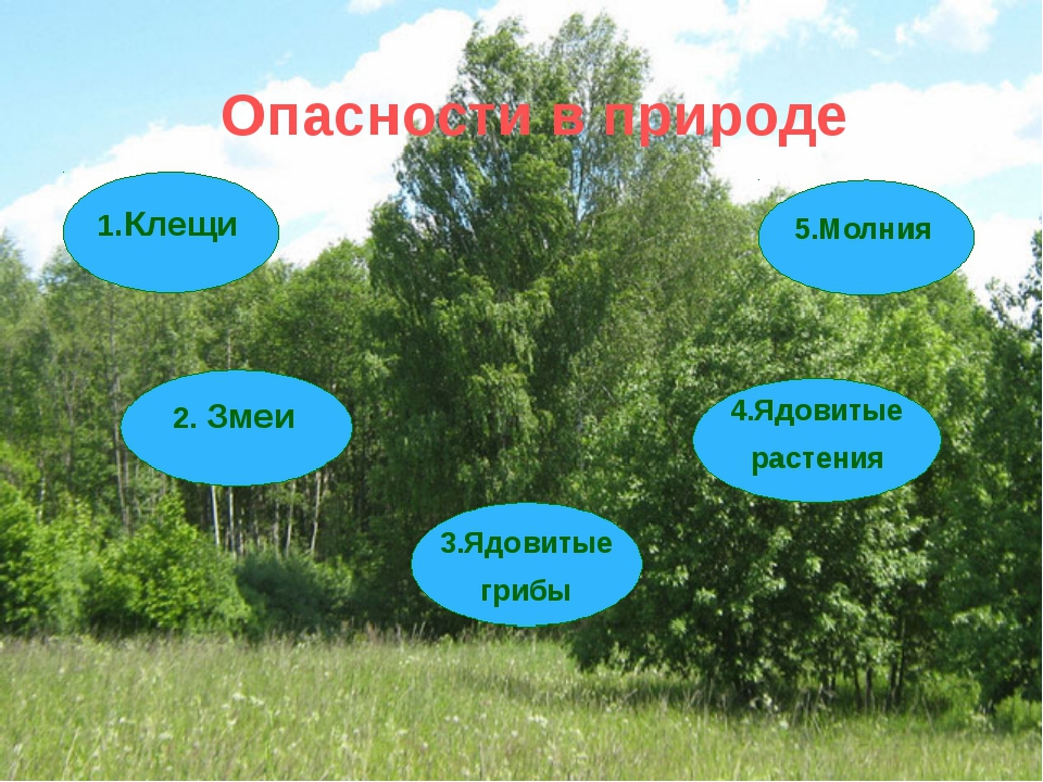 Презентация на тему окр. Опасности в лесу. Природа в опасности. Опасности на природе ОБЖ. Природа и наша безопасность.