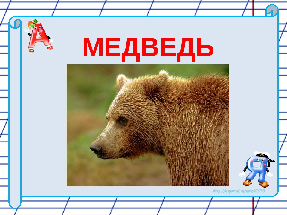 Медведь какой слова признаки. Слово медведь. Проект по английскому языку про медведя.
