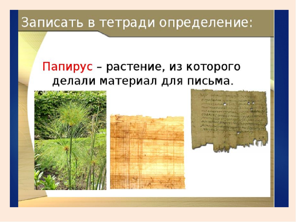 История определение 5. Тростник Папирус в древнем Египте. Папирус из тростника. Тростник материал для письма. Папирус определение по истории.