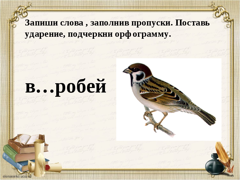 Подчеркни правильное слово we write wrote a story yesterday