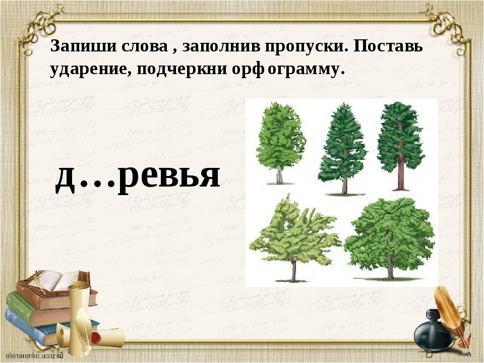 как подчеркиваются безударные гласные. вставь гласные запиши к_ т. подбери проверочные слова. поставь в транскрипции знак ударения подчеркни опасные. вставь гласные запиши слова поставь ударение.