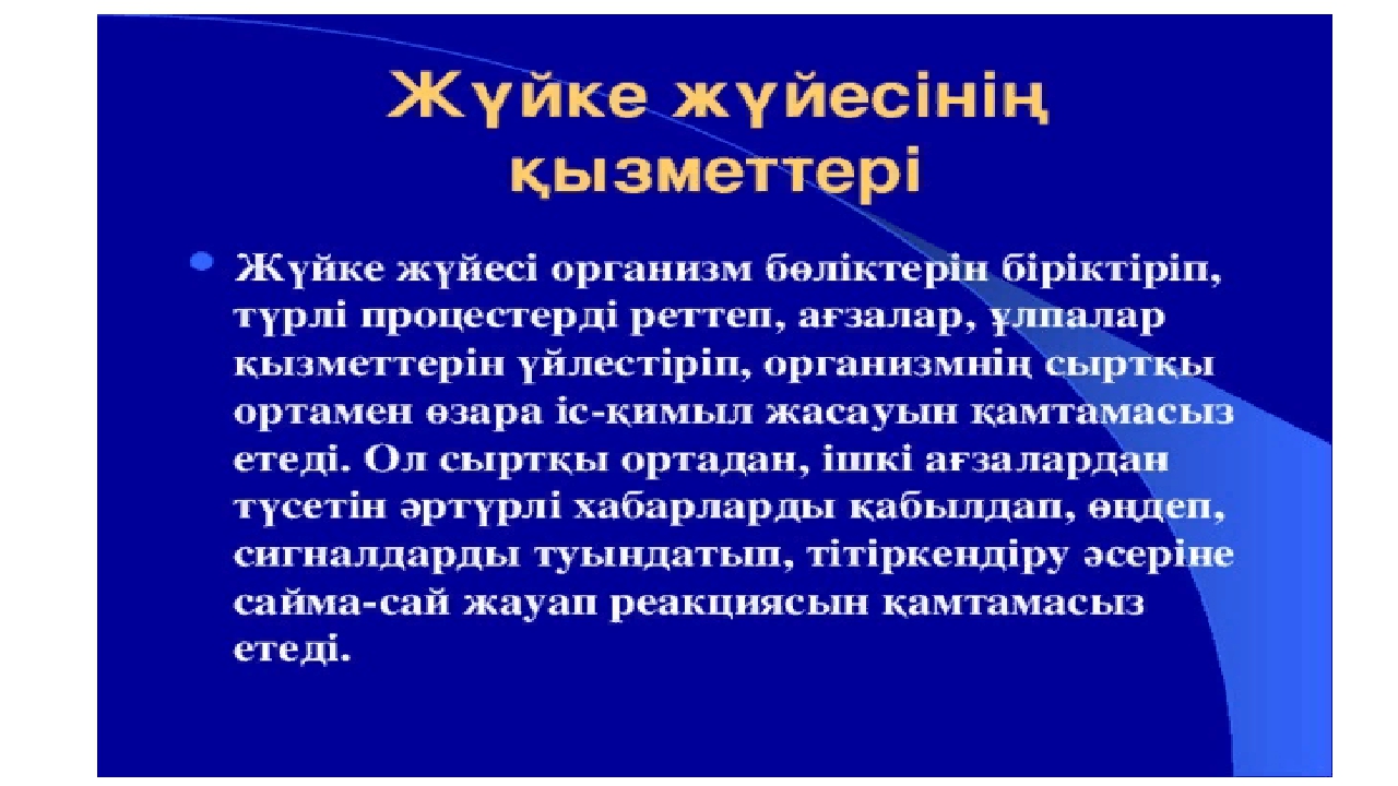 Интересные темы для проекта по анатомии