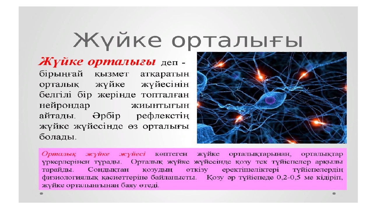 Презентация анатомия егэ по биологии