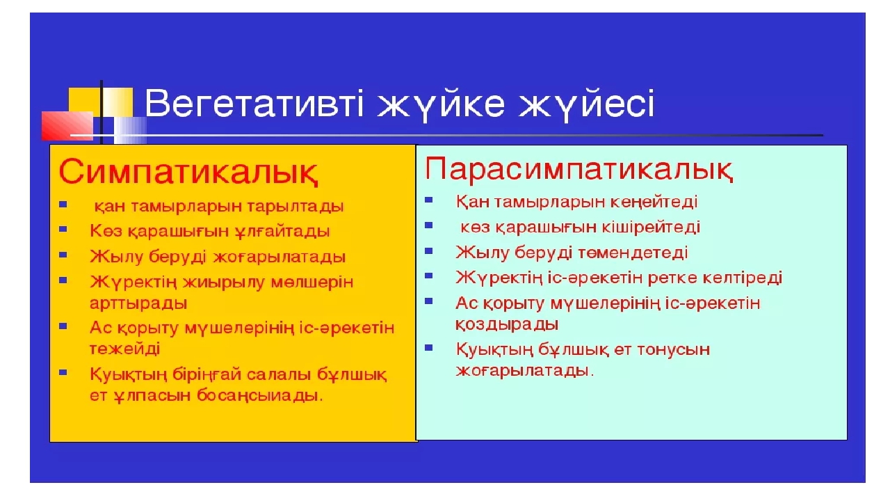 Презентация по анатомии на тему кожа