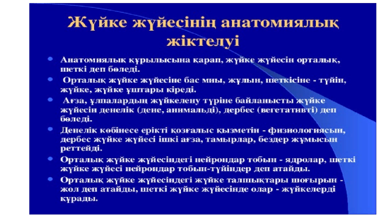 Интересные темы для проекта по анатомии