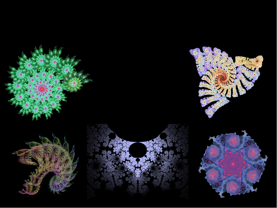 Презентация фракталы геометрия красоты