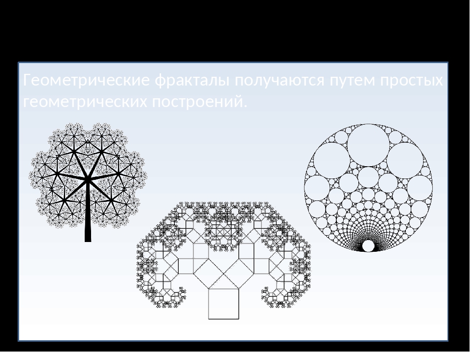 Презентация по теме фракталы геометрия красоты